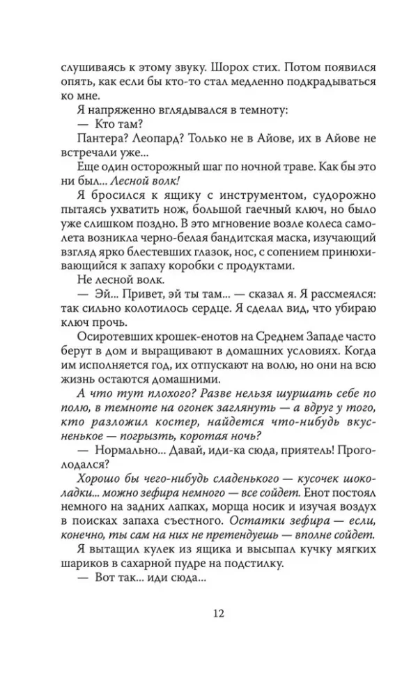 Ричард Бах: Мост через вечность