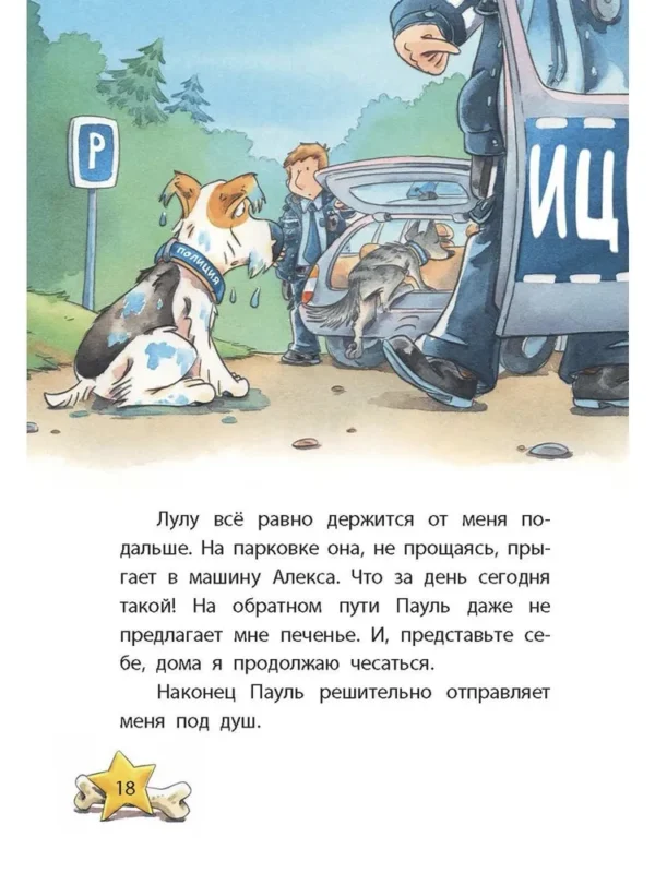 Катя Райдер: Комиссар Лапа. Загадка лесного озера