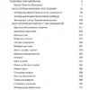 Борис Акунин: Пелагия и черный монах