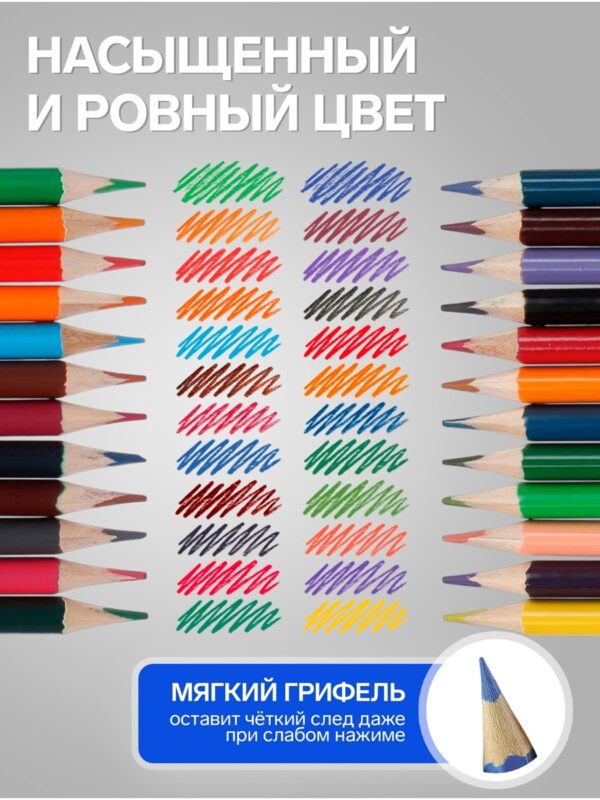 Карандаши двухцветные Calligrata 12 штук, 24 цвета
