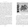 Джон Зубжицки: Краткая история Индии