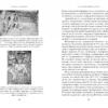 Джон Зубжицки: Краткая история Индии