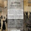Александр Архангельский: Правило муравчика