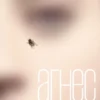 Хавьер Пенья: Агнес