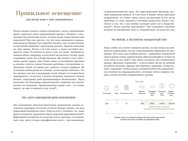 6 минут. Дневник сна