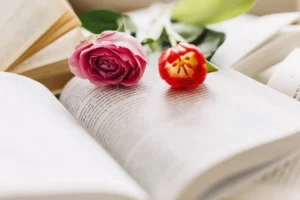 Подарочные издания книг для учителей в Испании от магазина Ruskniga.es.