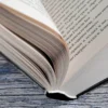 Иван Белов: Самая страшная книга. Заступа: Все оттенки падали