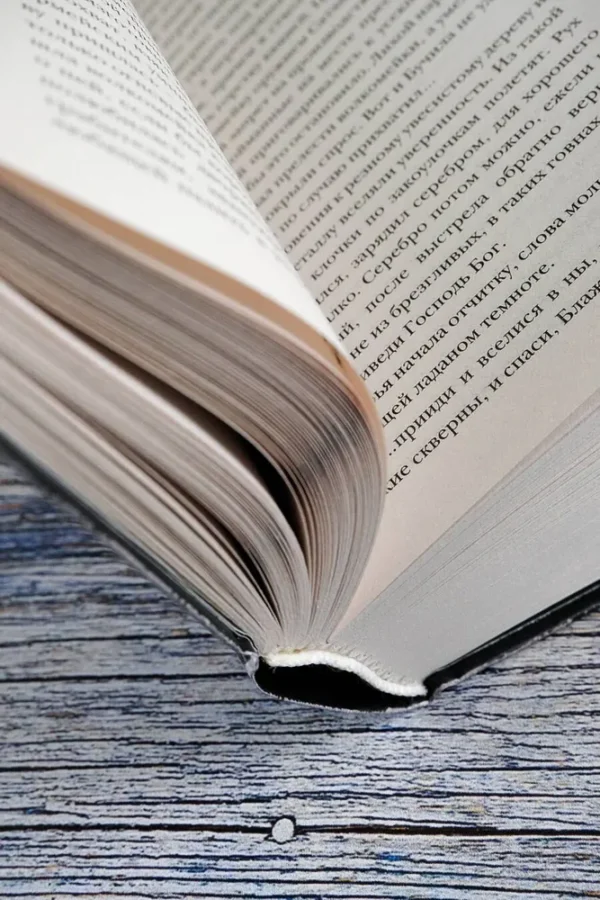 Иван Белов: Самая страшная книга. Заступа: Все оттенки падали