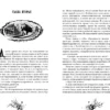 Татьяна Мастрюкова: Радио "Морок"