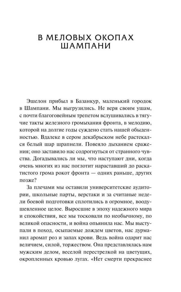 Эрнст Юнгер: В стальных грозах