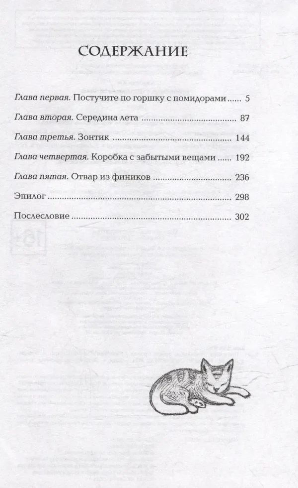 Ким Чжи Юн: Прачечная, стирающая печали