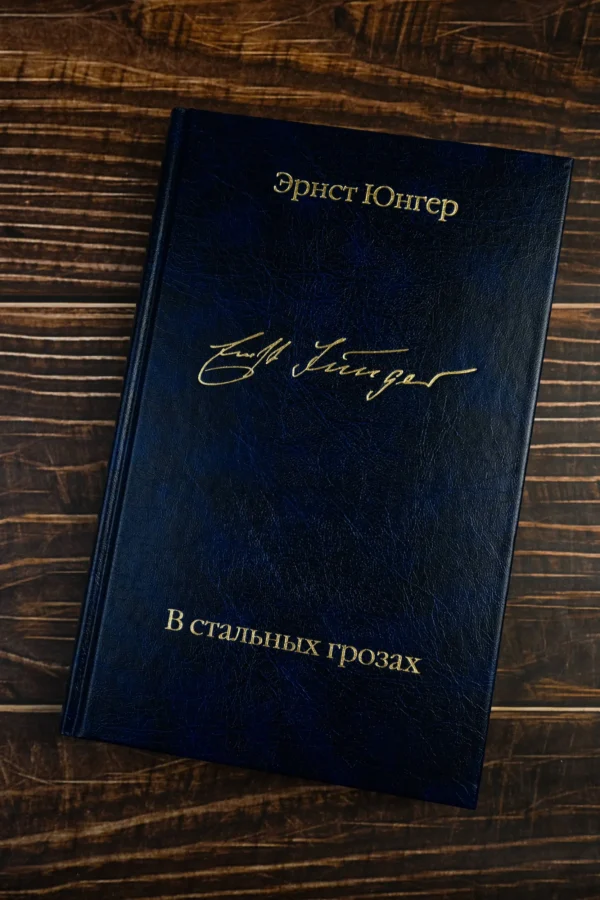 Эрнст Юнгер: В стальных грозах