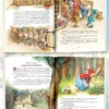 Золотая книга сказок (илл. Тони Вульфа)