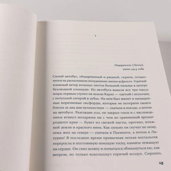 Франческа Джанноне: Почтальонша