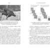 Дэвид Иглмен: Мозг. Ваша личная история