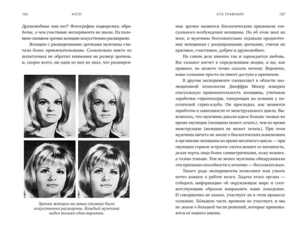Дэвид Иглмен: Мозг. Ваша личная история