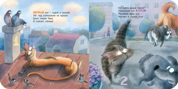 Ксения Валаханович: Будем котиков считать!