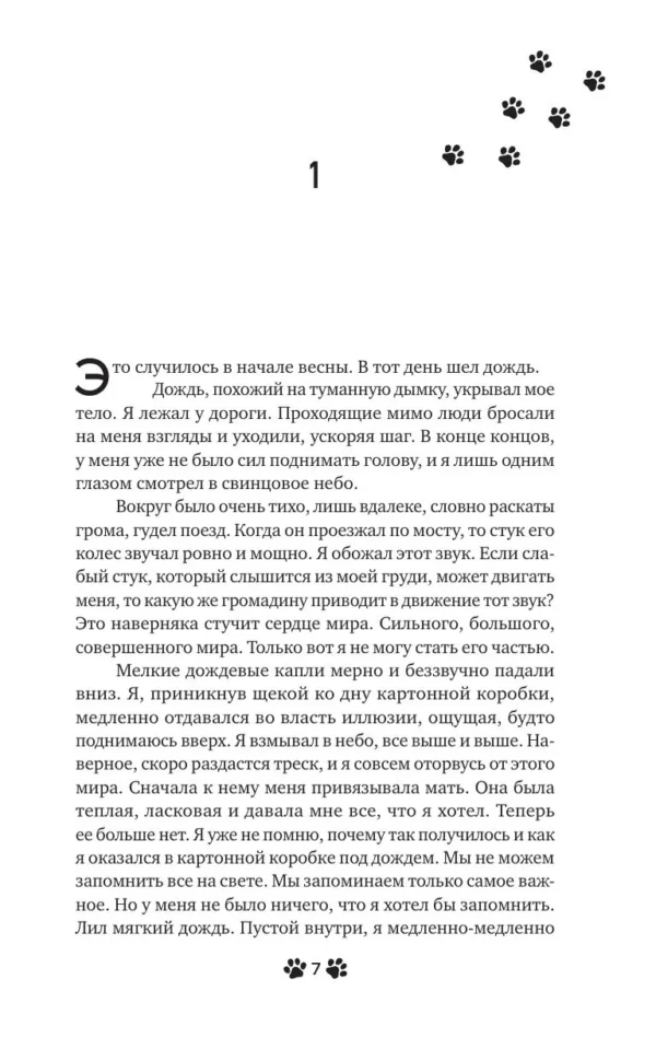 Макото Синкай, Наруки Нагакава: Она и ее кот