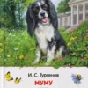 Иван Тургенев: Муму. Записки охотника. Избранное