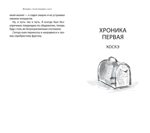 Хиро Арикава: Хроники странствующего кота (карманный формат)