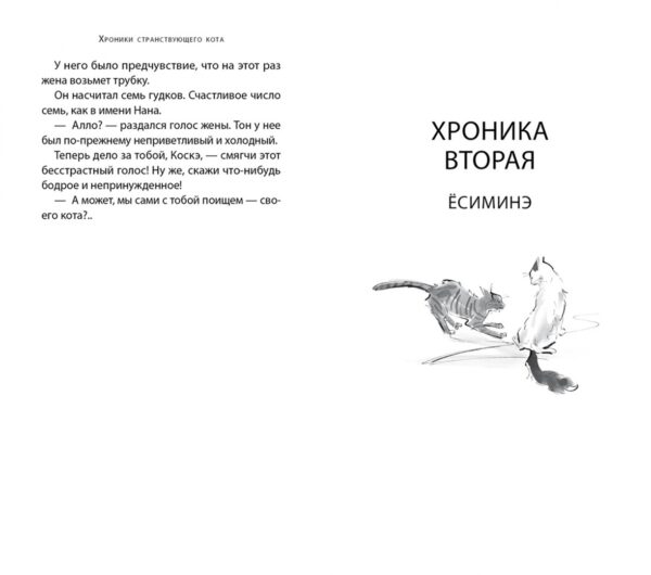 Хиро Арикава: Хроники странствующего кота (карманный формат)
