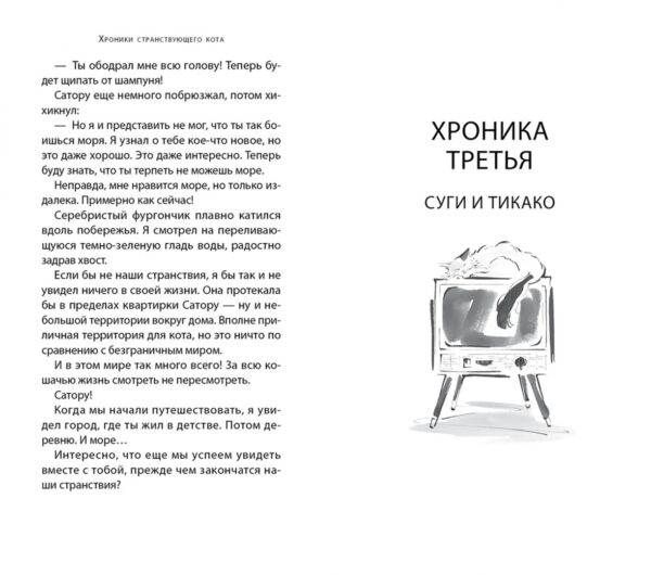 Хиро Арикава: Хроники странствующего кота (карманный формат)