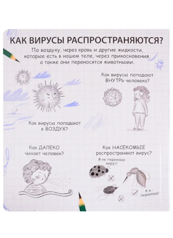 40 окошек. Что делать, чтобы быть здоровым