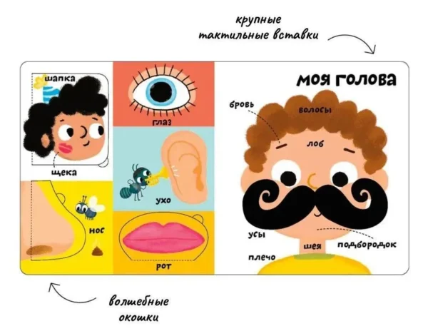 Мои первые 100 слов с окошками. Мое тело
