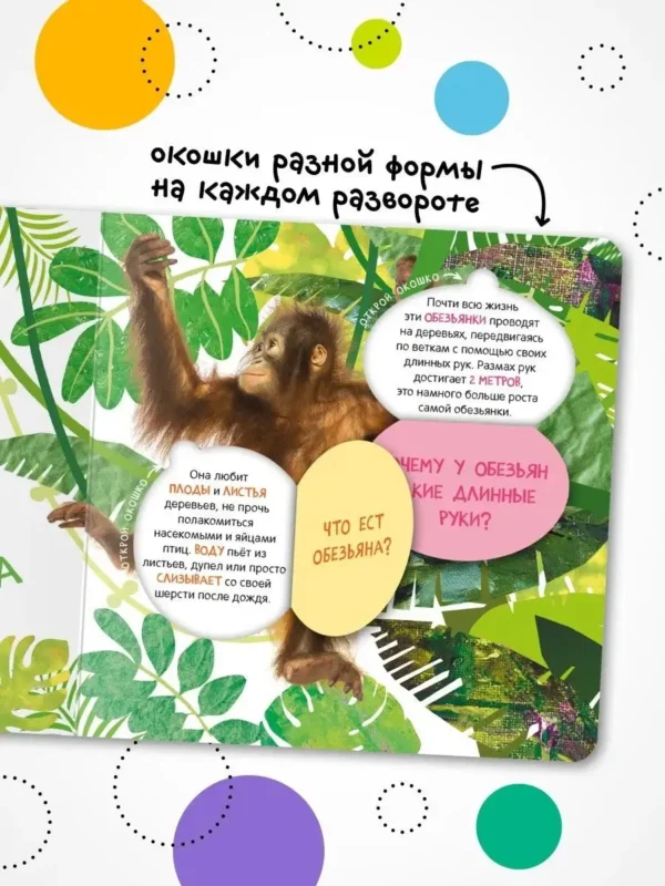 Кто где живет? Книжка с окошками