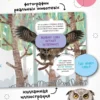 Кто где живет? Книжка с окошками