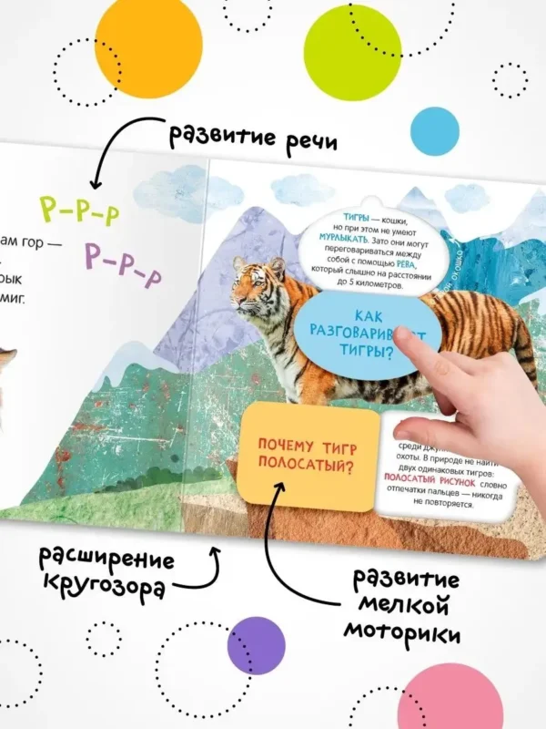 Кто где живет? Книжка с окошками