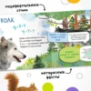 Кто где живет? Книжка с окошками