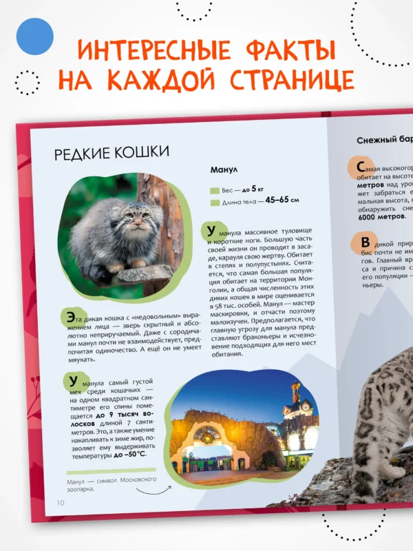Детская энциклопедия. Красная книга