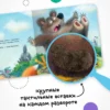 Теремок. Тактильные сказки