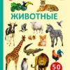 50 звуков. Животные