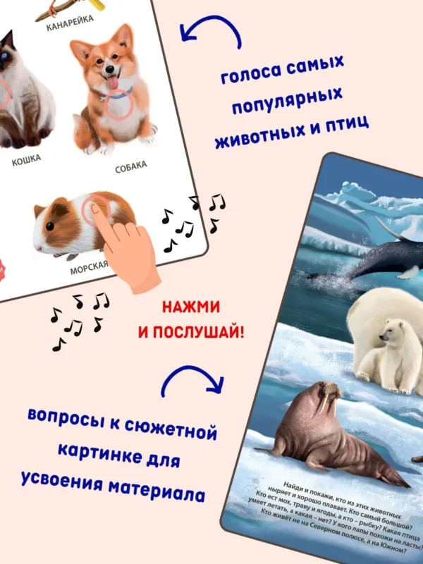50 звуков. Животные