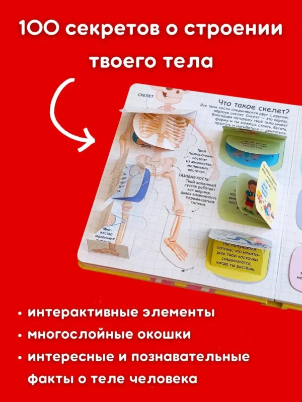 Секреты человека. Волшебные окошки