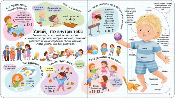Секреты человека. Волшебные окошки