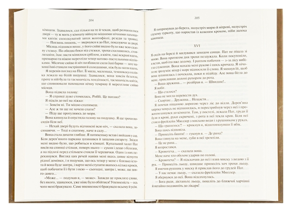 Еріх Марія Ремарк: Три товариші (УКР.ЯЗ)
