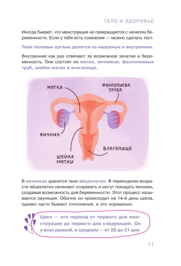 Ментусова, Денисова: Современная энциклопедия для девочек