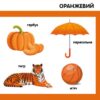 Кольори. Смарт-книги (УКР.ЯЗ)